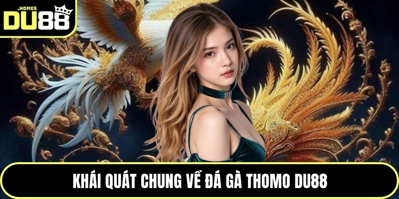 Khái quát chung về đá gà Thomo DU88