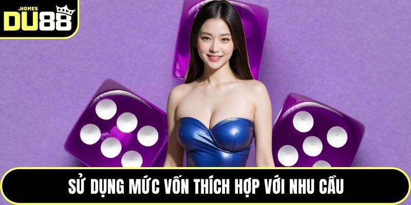 Sử dụng mức vốn thích hợp với nhu cầu
